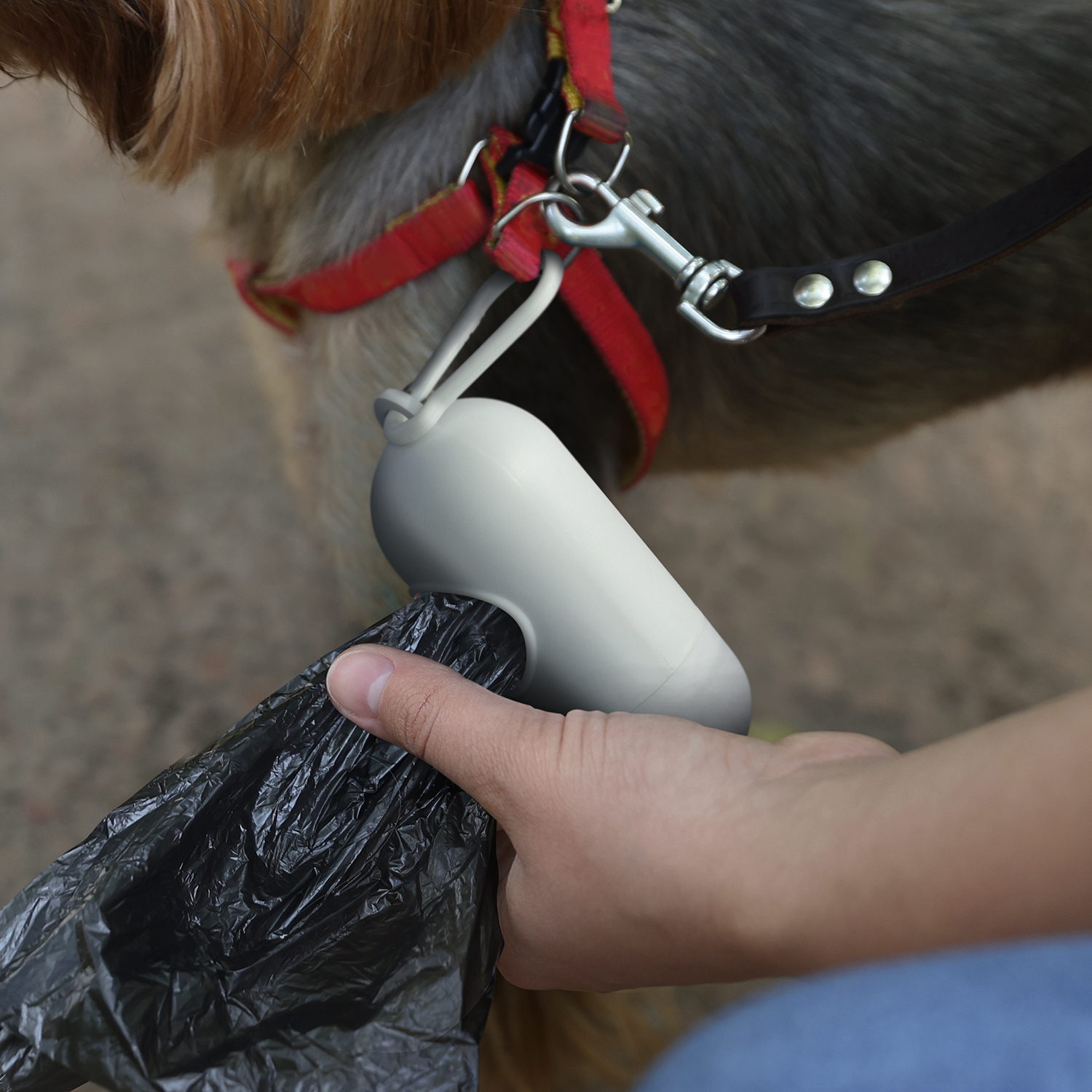 TRENDS | Pet Bag Dispenser