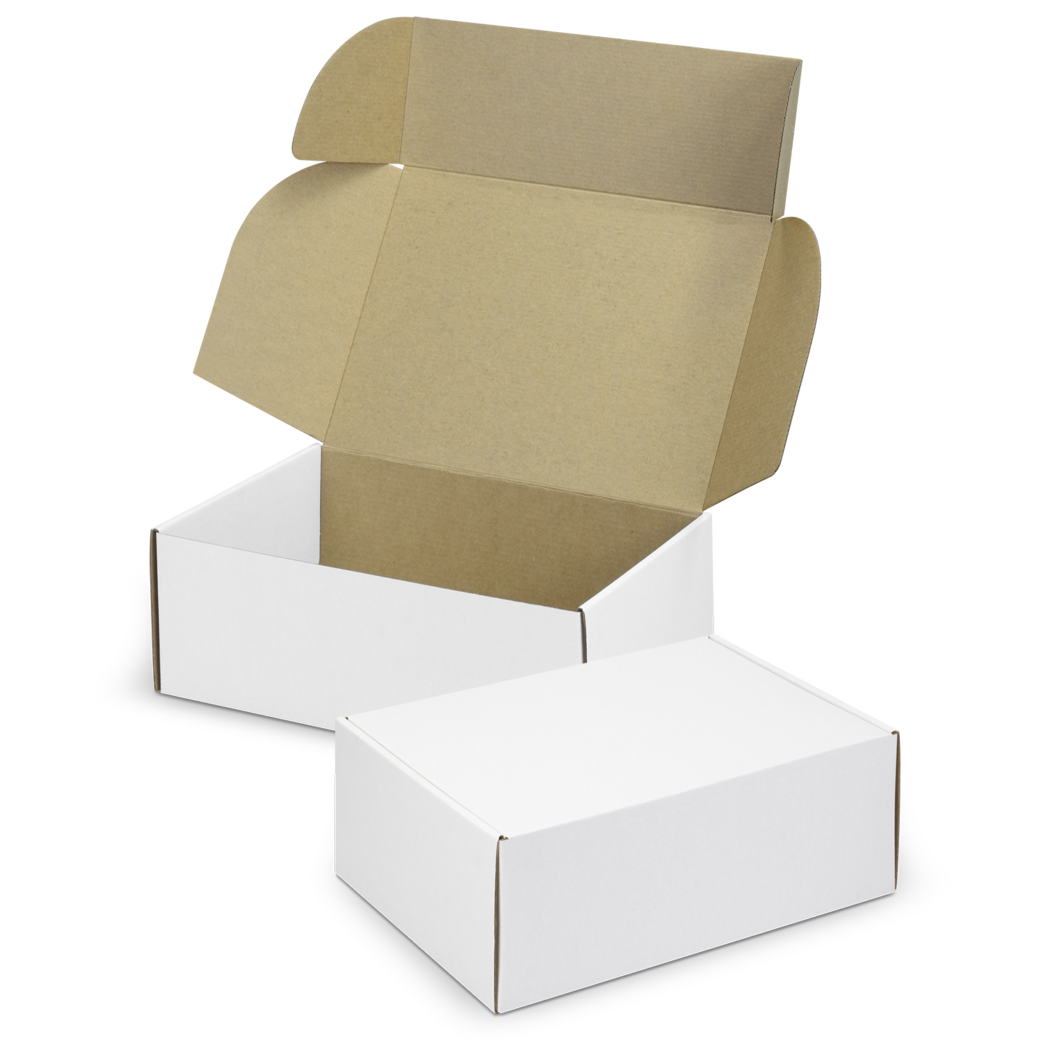 TRENDS | Die Cut Box with Locking Lid - 300x225x113mm