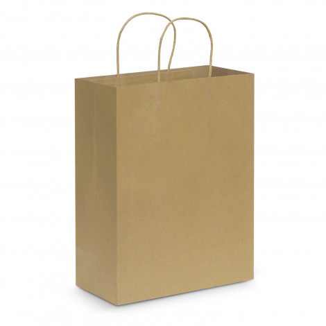 Paper Carry Bag - Large 107590 | Natural