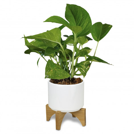 Planter with Bamboo Base 120901 | Detail