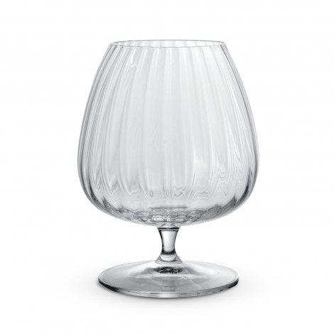 Luigi Bormioli Optica Cognac Glass 123300 | Clear